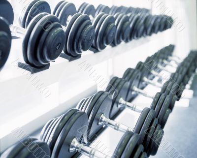 Waiting Weights at sport club