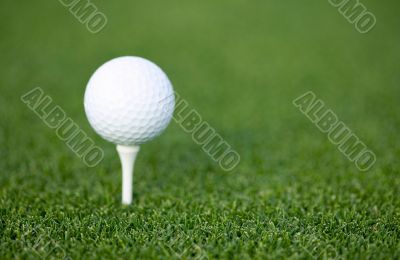 golf ball on the green grass
