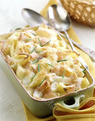 Pasta Shells and Cheese