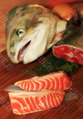 Fresh salmon