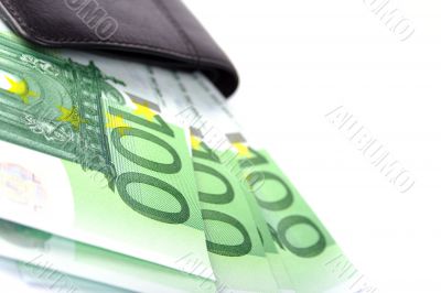 euro and purse
