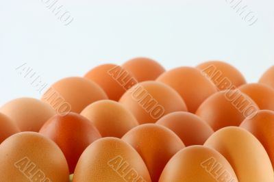 egg; object on a white background