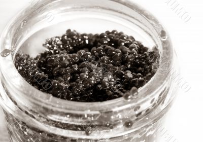 Black caviar