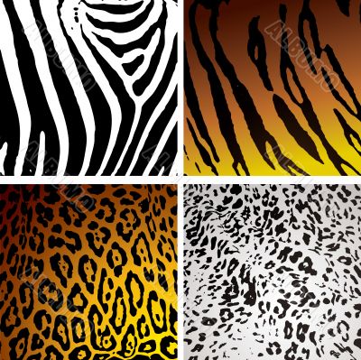 animal skin variation