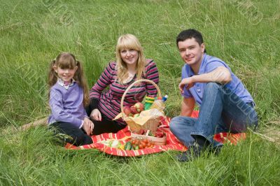 Family having picnic in park