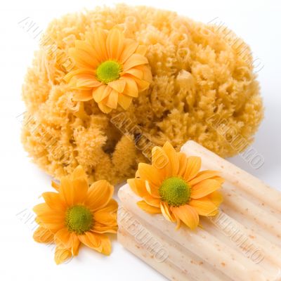 natural sponge, soap and flowers