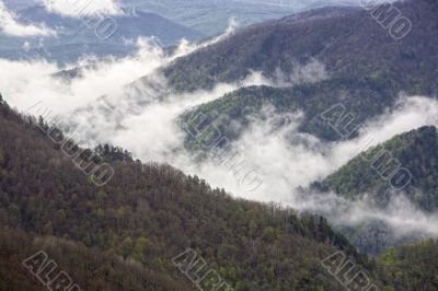 Mountains covered with forests