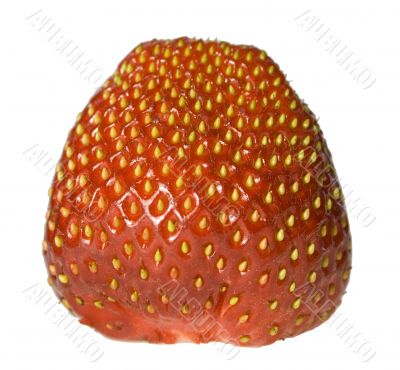 Fresh Isolated Strawberry