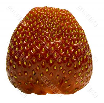 Fresh Isolated Strawberry