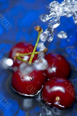 cherry in the water closeup