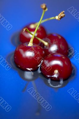 cherry in the water