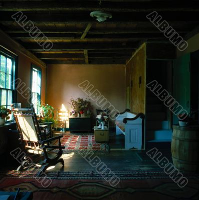moody living room