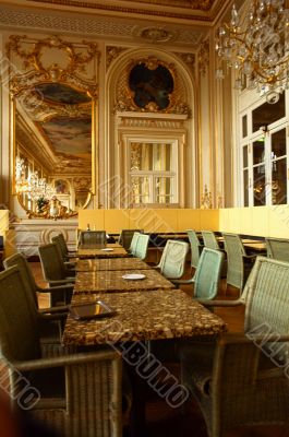 opulent interior. classic home