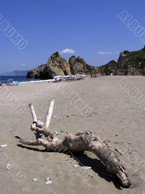 Log At Sandy Beach