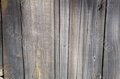 old wood