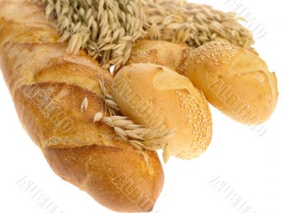 Delicious bread on white background