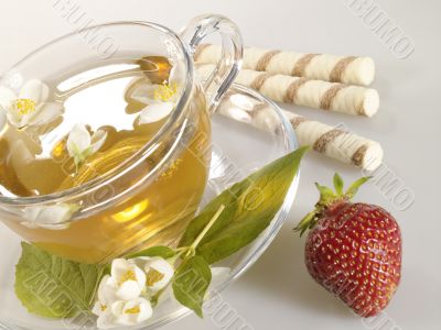 breakfast still-life. green tea with cookies and jasmine