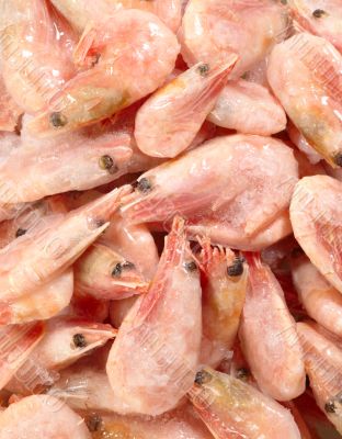 frozen shrimp on the stack for food backgrounds
