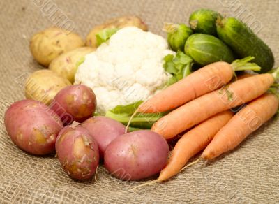 fresh tasty vegetables on burlap