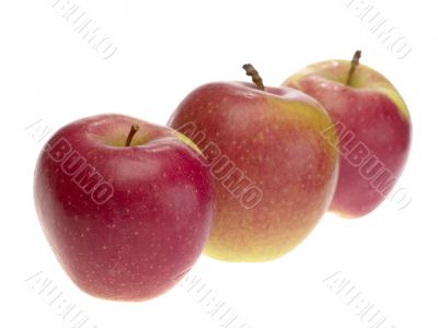 apple on white background. isolated with clipping path