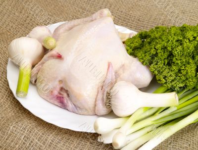 chicken, prepared for cooking with spices on burlap