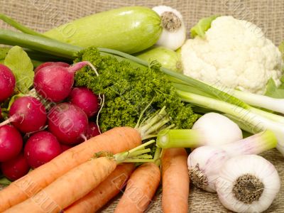 fresh tasty vegetables on burlap