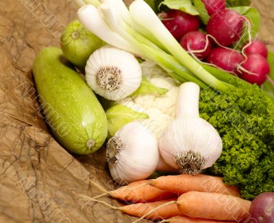 fresh tasty vegetables on brown background