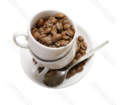 Coffee Cup. Coffee Beans on plate

