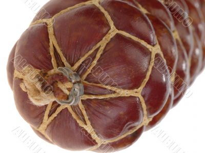 salami, smoked sausage. isolated with clipping path