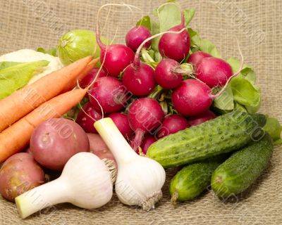 fresh tasty vegetables on burlap