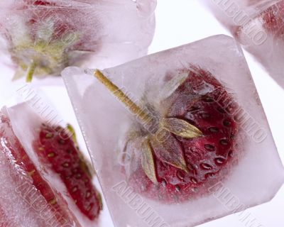 frozen strawberry in ice cubes