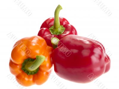 fresh tasty peppers on white background. isolated with clipping