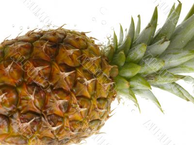 pineapple with water splashes on white