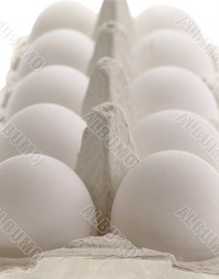 Close-up of white eggs