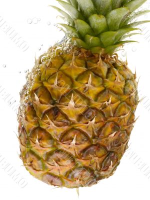 pineapple with water splashes on white