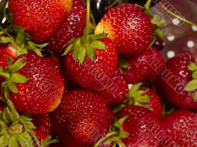 fresh tasty strawberry on to colander