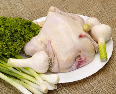 chicken, prepared for cooking with spices on burlap