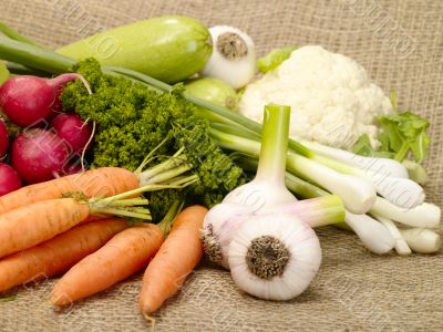 fresh tasty vegetables on burlap