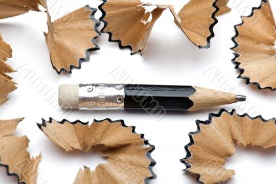 pencil and shavings closeup