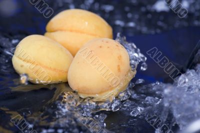 Apricot on water