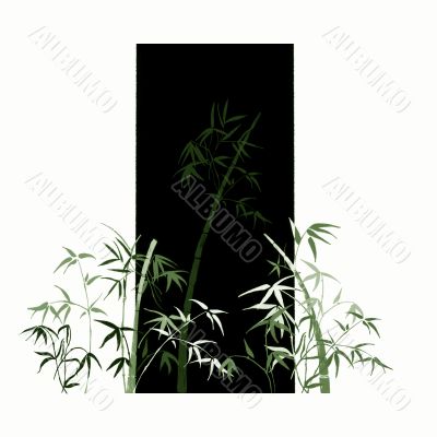 Bamboo