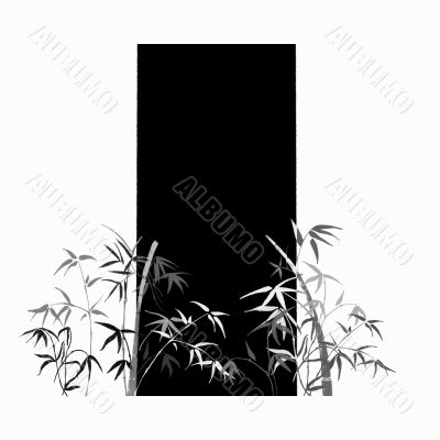 Bamboo
