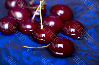 cherry on blue close up