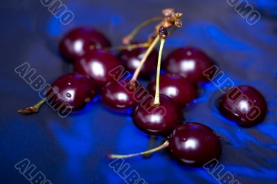 cherry on blue closeup