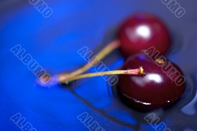 cherry on blue macro