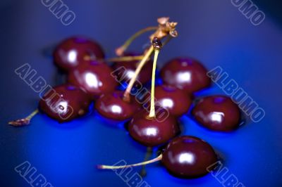 cherry on blue