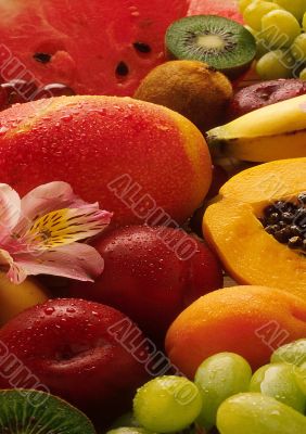 fruits and serves