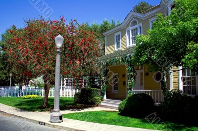 Modern yellow house