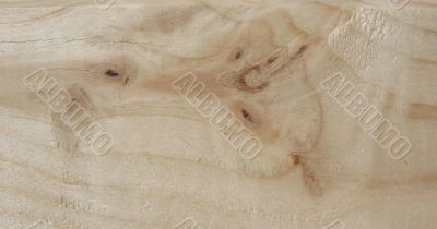 Fresh wooden texture. Background