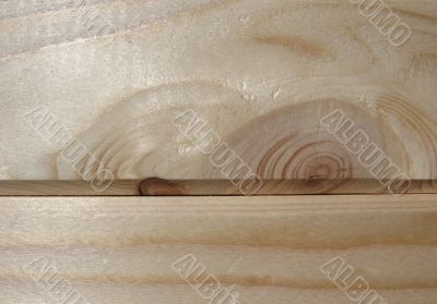 Fresh wooden texture. Background
